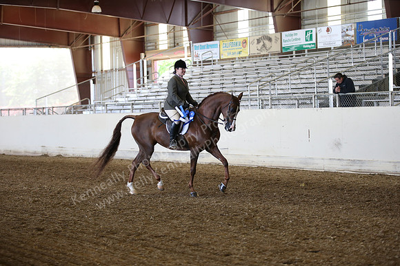 AHANC_Show18_FriAM_1021