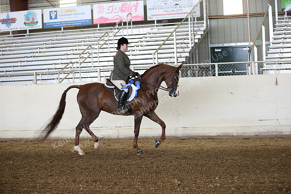 AHANC_Show18_FriAM_1024