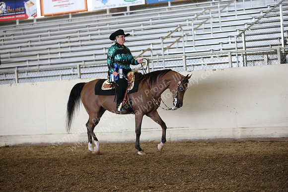 AHANC_Show18_FriAM_1043