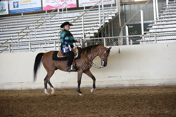 AHANC_Show18_FriAM_1044