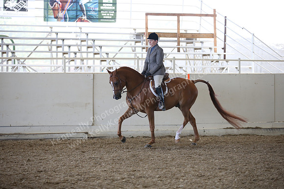 AHANC_Show18_FriAM_1053