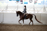 AHANC_Show18_FriAM_1055