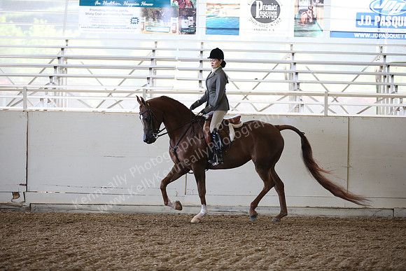 AHANC_Show18_FriAM_1055