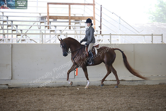 AHANC_Show18_FriAM_1054