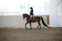 AHANC_Show18_FriAM_1057