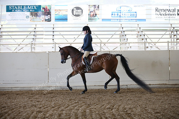 AHANC_Show18_FriAM_1058