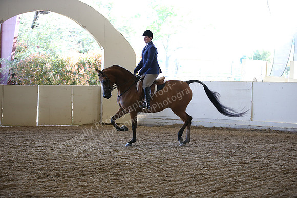 AHANC_Show18_FriAM_1063