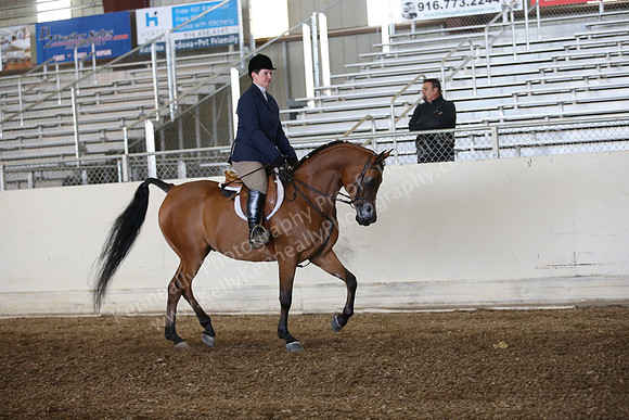 AHANC_Show18_FriAM_1065