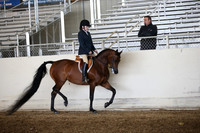 AHANC_Show18_FriAM_1067