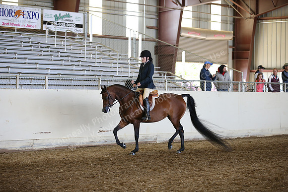 AHANC_Show18_FriAM_1068