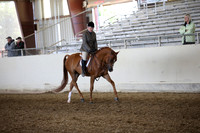 AHANC_Show18_FriAM_1064