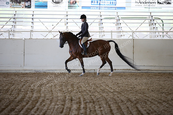 AHANC_Show18_FriAM_1075
