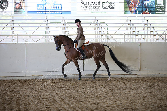 AHANC_Show18_FriAM_1077