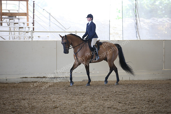 AHANC_Show18_FriAM_1078