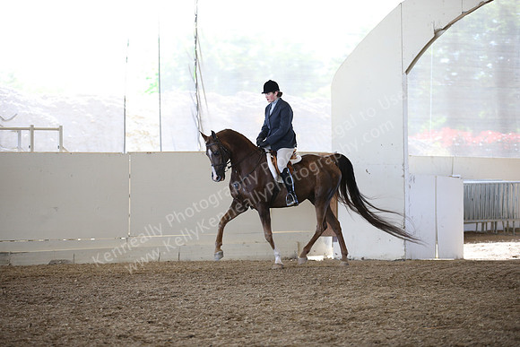 AHANC_Show18_FriAM_1080