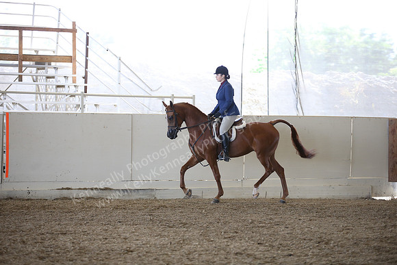 AHANC_Show18_FriAM_1083
