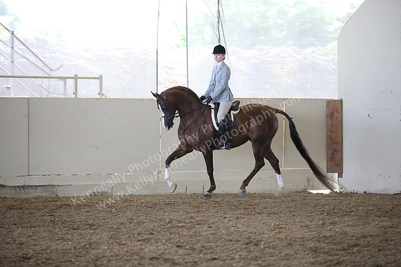 AHANC_Show18_FriAM_1085