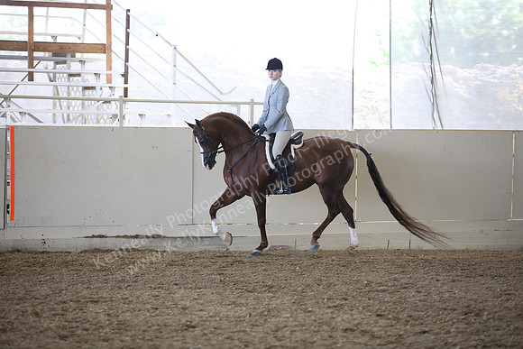 AHANC_Show18_FriAM_1086