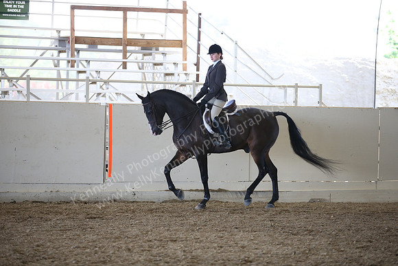 AHANC_Show18_FriAM_1087