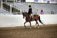 AHANC_Show18_FriAM_1089