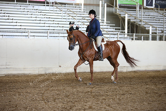AHANC_Show18_FriAM_1092