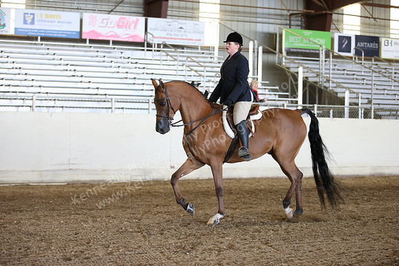 AHANC_Show18_FriAM_1093
