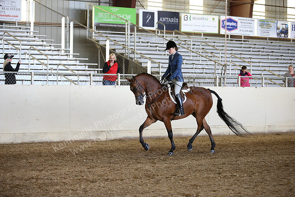 AHANC_Show18_FriAM_1095