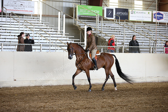AHANC_Show18_FriAM_1097