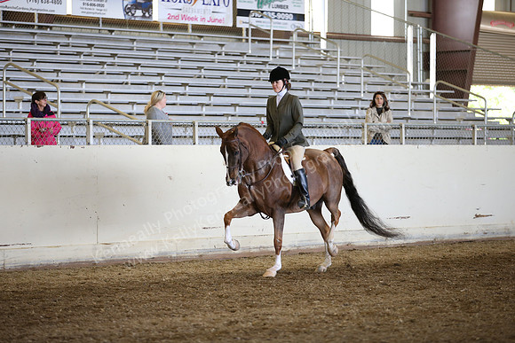 AHANC_Show18_FriAM_1100