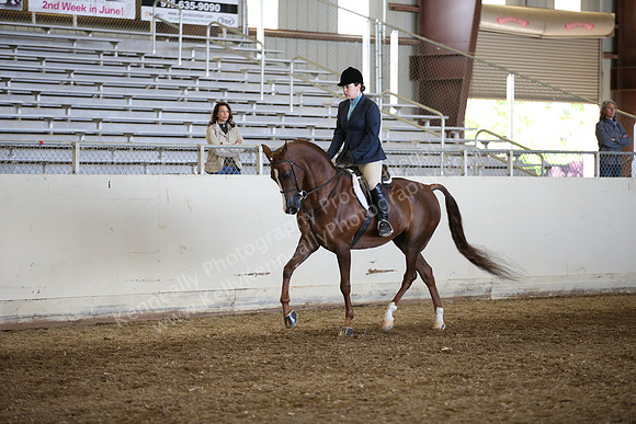 AHANC_Show18_FriAM_1101