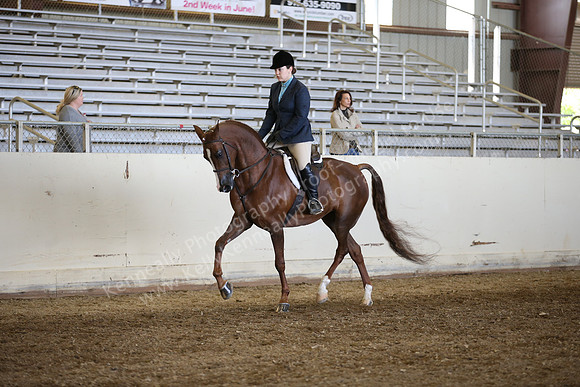 AHANC_Show18_FriAM_1102