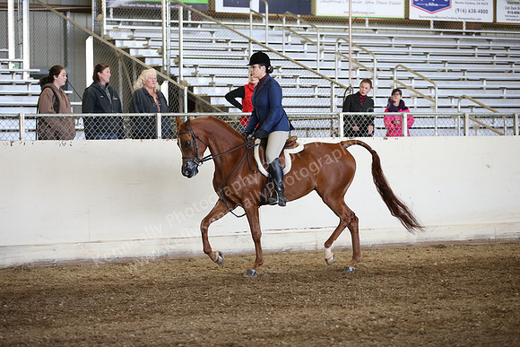 AHANC_Show18_FriAM_1108