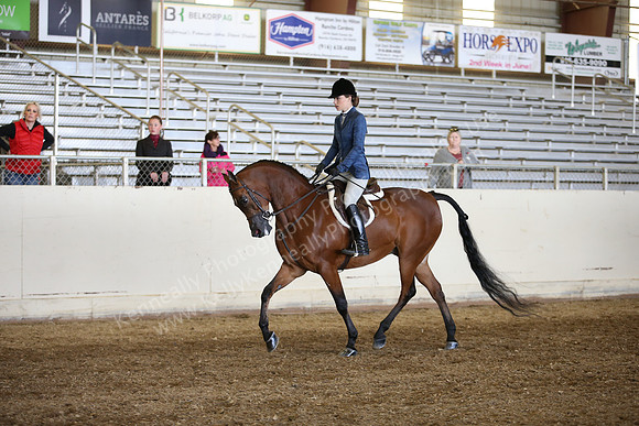 AHANC_Show18_FriAM_1112