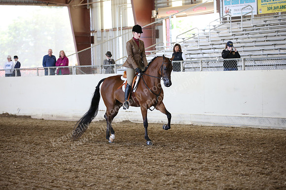 AHANC_Show18_FriAM_1114
