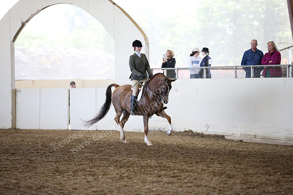 AHANC_Show18_FriAM_1116