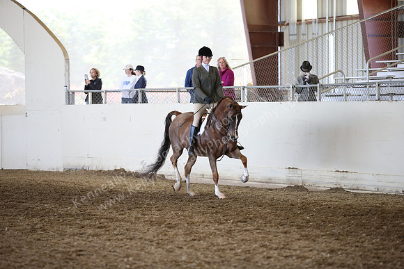 AHANC_Show18_FriAM_1117