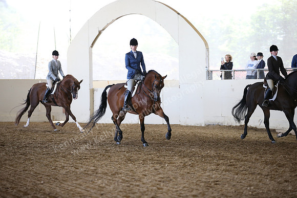 AHANC_Show18_FriAM_1120