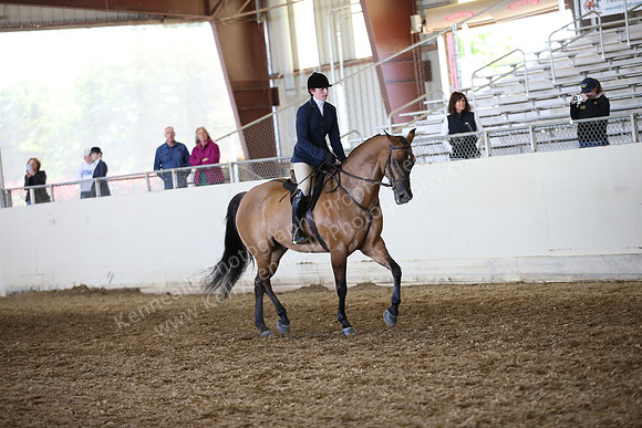 AHANC_Show18_FriAM_1130