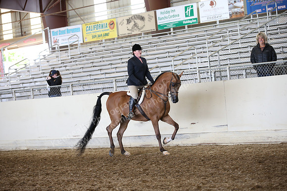 AHANC_Show18_FriAM_1132