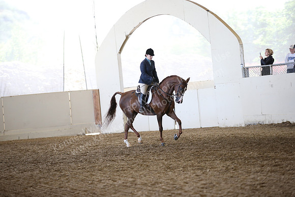 AHANC_Show18_FriAM_1135