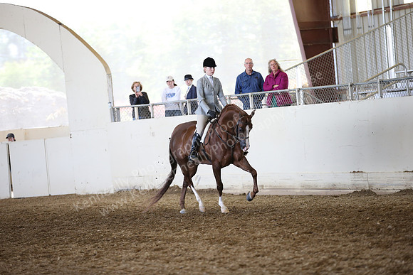 AHANC_Show18_FriAM_1138
