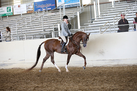 AHANC_Show18_FriAM_1141