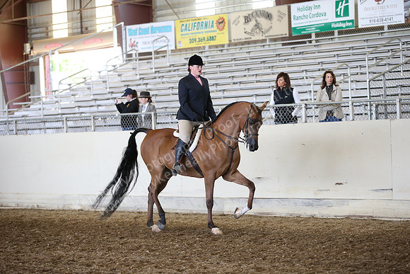AHANC_Show18_FriAM_1146