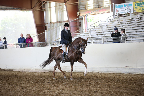 AHANC_Show18_FriAM_1147