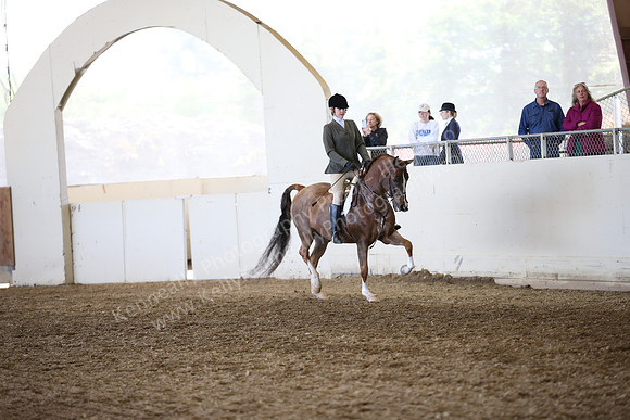 AHANC_Show18_FriAM_1149