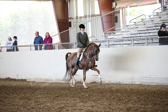 AHANC_Show18_FriAM_1150