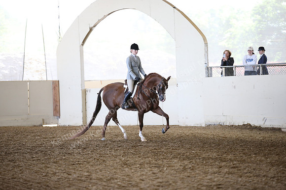 AHANC_Show18_FriAM_1156