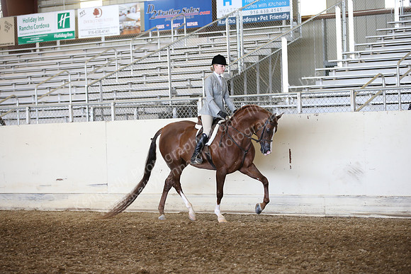 AHANC_Show18_FriAM_1160