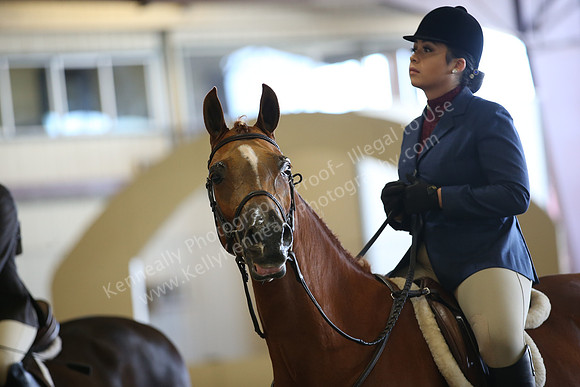 AHANC_Show18_FriAM_1162