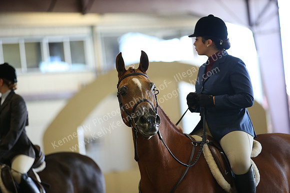 AHANC_Show18_FriAM_1163